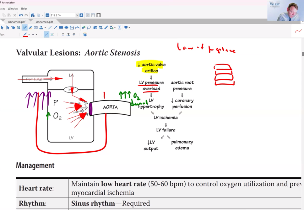 CPC Core Module - Human Physiology and Pathophysiology