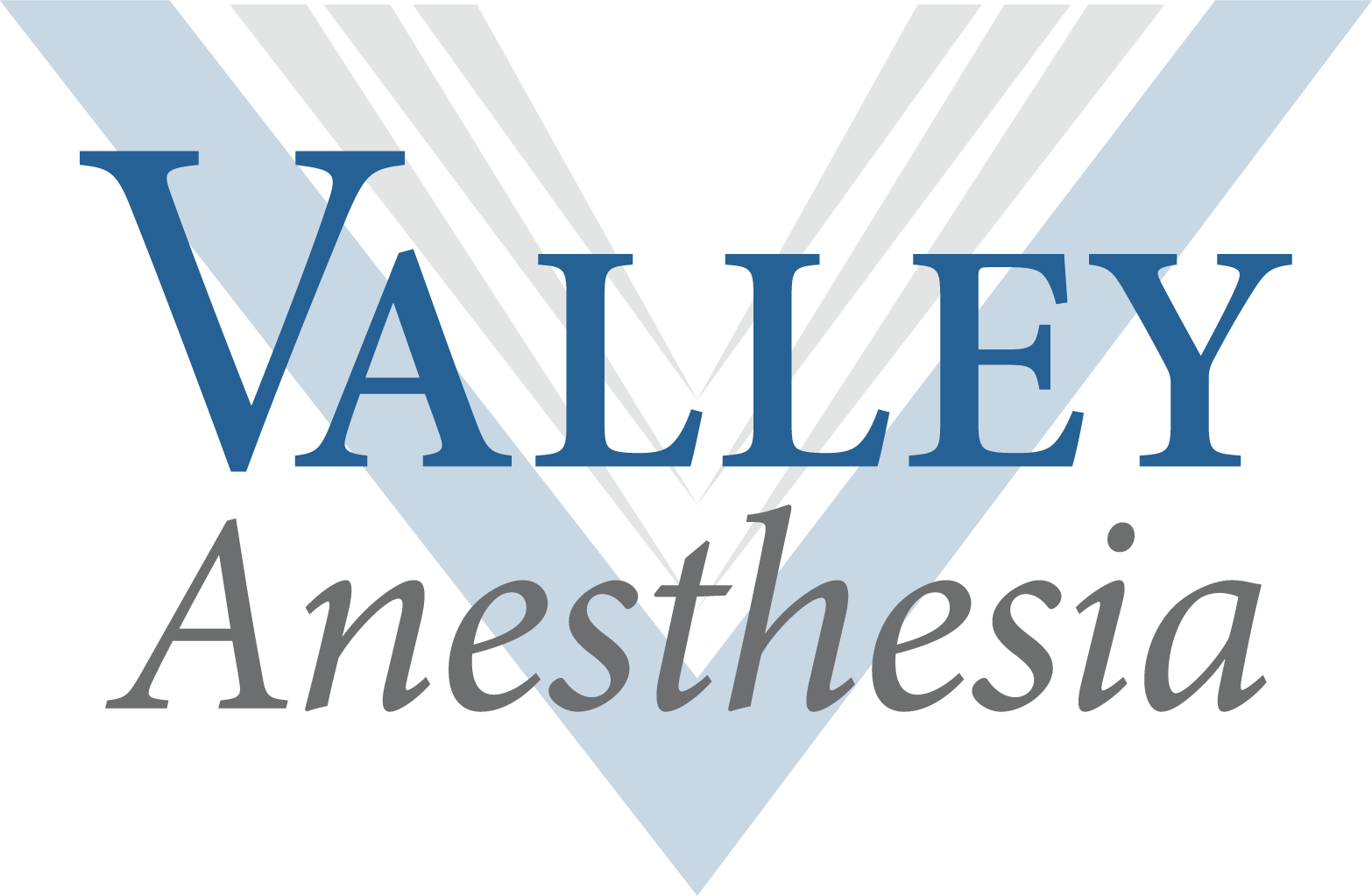 Valley Health Services, LLC logo